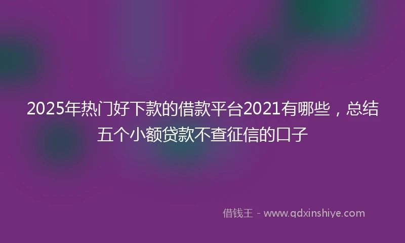 2025年热门好下款的借款平台2021有哪些，总结五个小额贷款不查征信的口子