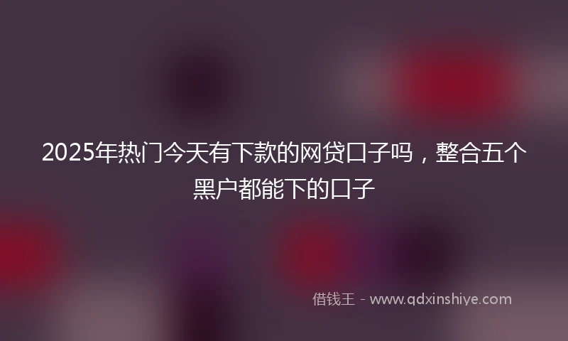 2025年热门今天有下款的网贷口子吗，整合五个黑户都能下的口子
