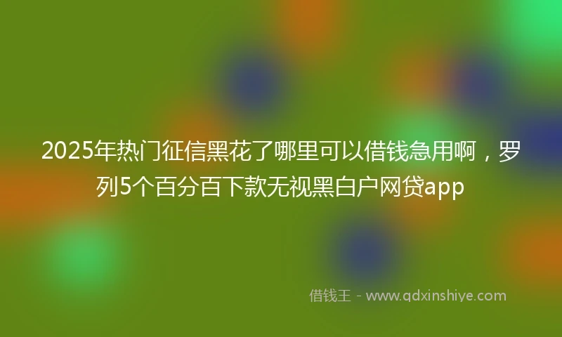 2025年热门征信黑花了哪里可以借钱急用啊，罗列5个百分百下款无视黑白户网贷app