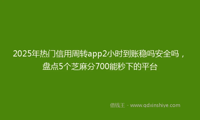 2025年热门信用周转app2小时到账稳吗安全吗，盘点5个芝麻分700能秒下的平台