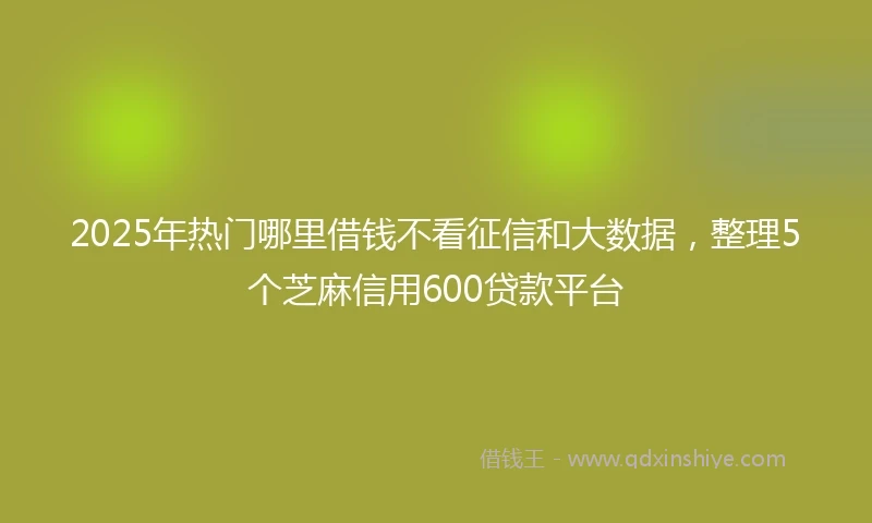 2025年热门哪里借钱不看征信和大数据，整理5个芝麻信用600贷款平台