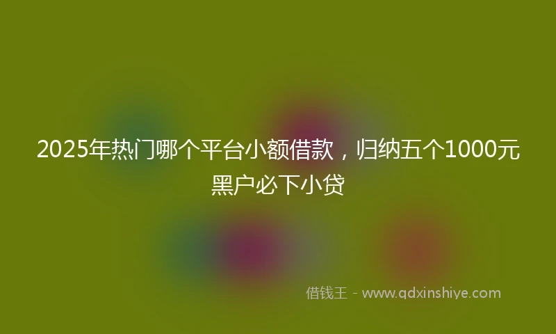 2025年热门哪个平台小额借款，归纳五个1000元黑户必下小贷