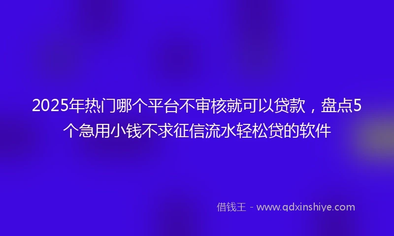 2025年热门哪个平台不审核就可以贷款，盘点5个急用小钱不求征信流水轻松贷的软件