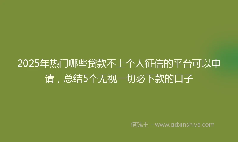 2025年热门哪些贷款不上个人征信的平台可以申请，总结5个无视一切必下款的口子
