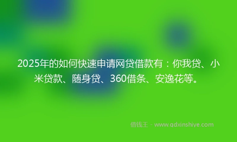 2025年的如何快速申请网贷借款有：你我贷、小米贷款、随身贷、360借条、安逸花等。