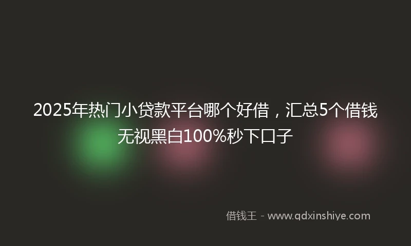 2025年热门小贷款平台哪个好借，汇总5个借钱无视黑白100%秒下口子