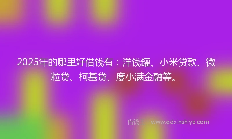 2025年的哪里好借钱有：洋钱罐、小米贷款、微粒贷、柯基贷、度小满金融等。