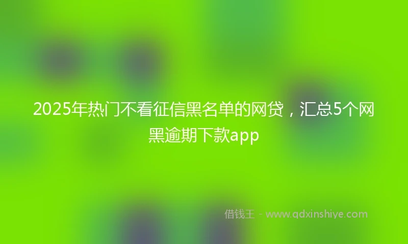 2025年热门不看征信黑名单的网贷，汇总5个网黑逾期下款app