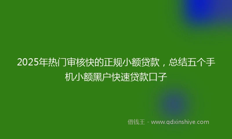 2025年热门审核快的正规小额贷款，总结五个手机小额黑户快速贷款口子
