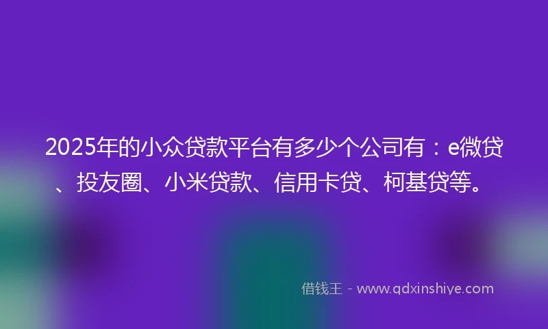 2025年的小众贷款平台有多少个公司有：e微贷、投友圈、小米贷款、信用卡贷、柯基贷等。