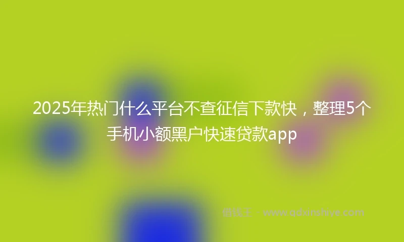 2025年热门什么平台不查征信下款快，整理5个手机小额黑户快速贷款app