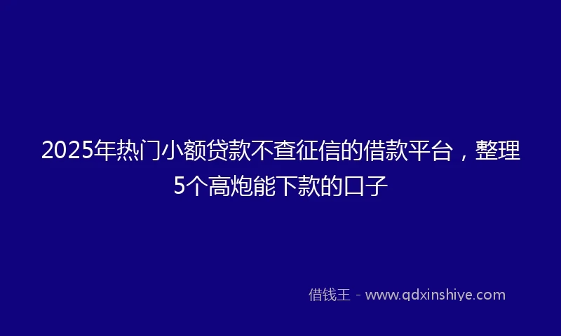 2025年热门小额贷款不查征信的借款平台，整理5个高炮能下款的口子