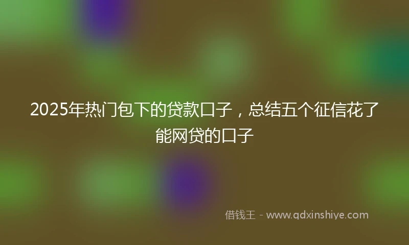 2025年热门包下的贷款口子，总结五个征信花了能网贷的口子