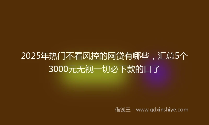 2025年热门不看风控的网贷有哪些，汇总5个3000元无视一切必下款的口子
