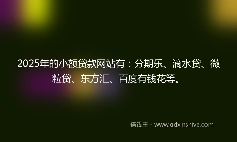 2025年的小额贷款网站有：分期乐、滴水贷、微粒贷、东方汇、百度有钱花等。