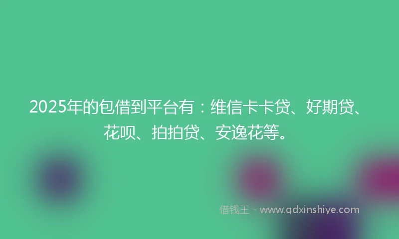 2025年的包借到平台有：维信卡卡贷、好期贷、花呗、拍拍贷、安逸花等。