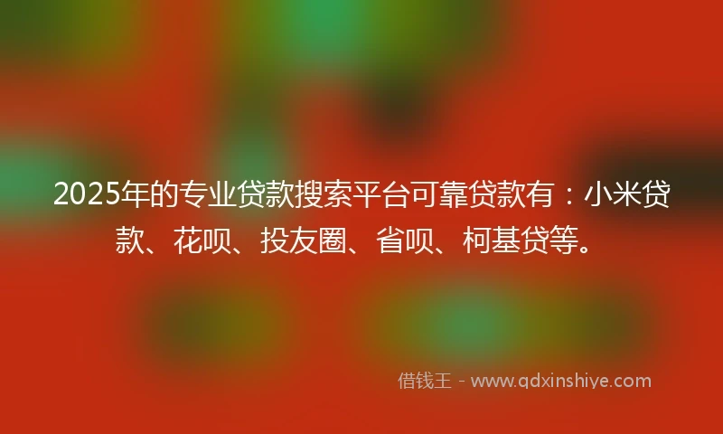 2025年的专业贷款搜索平台可靠贷款有：小米贷款、花呗、投友圈、省呗、柯基贷等。