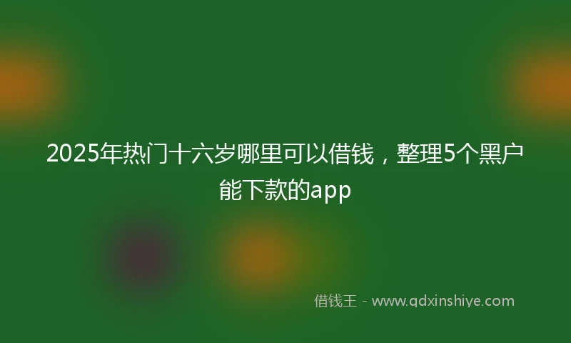 2025年热门十六岁哪里可以借钱，整理5个黑户能下款的app