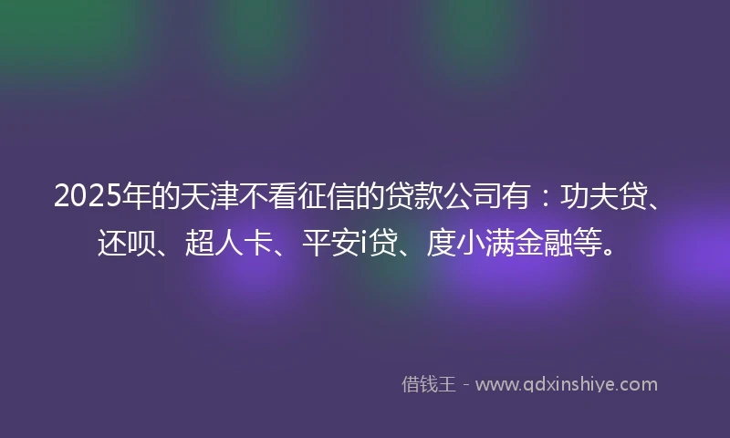 2025年的天津不看征信的贷款公司有：功夫贷、还呗、超人卡、平安i贷、度小满金融等。