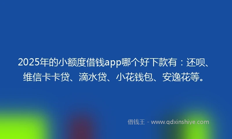 2025年的小额度借钱app哪个好下款有：还呗、维信卡卡贷、滴水贷、小花钱包、安逸花等。