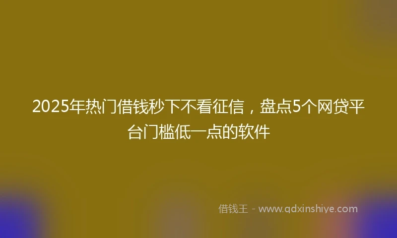 2025年热门借钱秒下不看征信，盘点5个网贷平台门槛低一点的软件