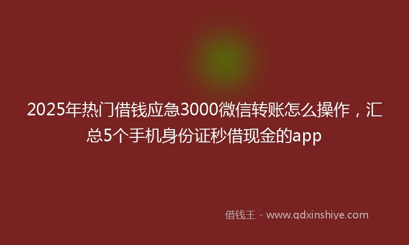 2025年热门借钱应急3000微信转账怎么操作，汇总5个手机身份证秒借现金的app