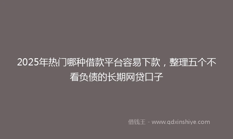 2025年热门哪种借款平台容易下款，整理五个不看负债的长期网贷口子