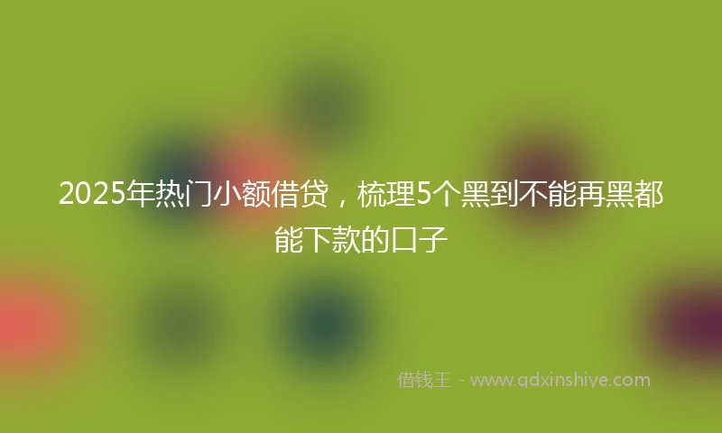 2025年热门小额借贷，梳理5个黑到不能再黑都能下款的口子