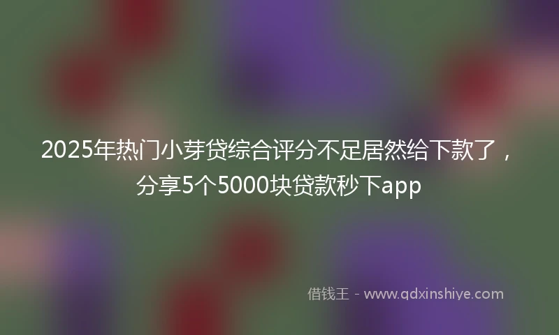 2025年热门小芽贷综合评分不足居然给下款了，分享5个5000块贷款秒下app