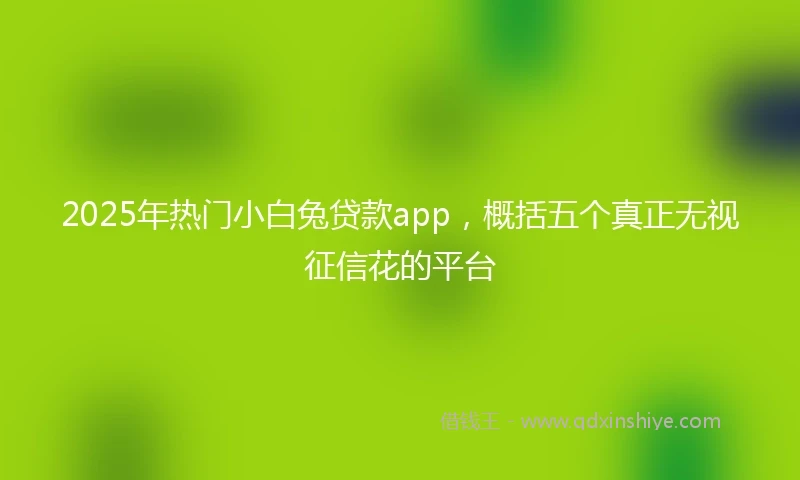 2025年热门小白兔贷款app，概括五个真正无视征信花的平台