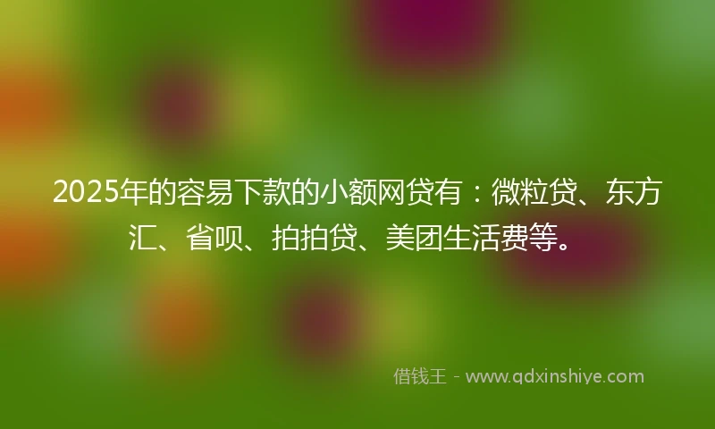 2025年的容易下款的小额网贷有：微粒贷、东方汇、省呗、拍拍贷、美团生活费等。