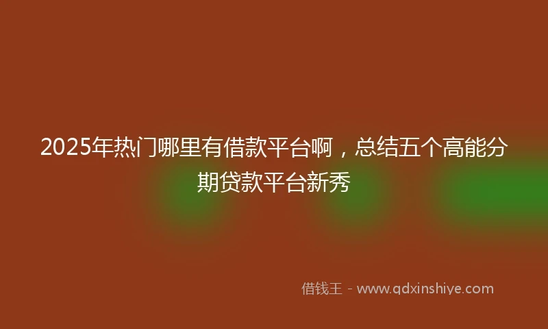 2025年热门哪里有借款平台啊，总结五个高能分期贷款平台新秀