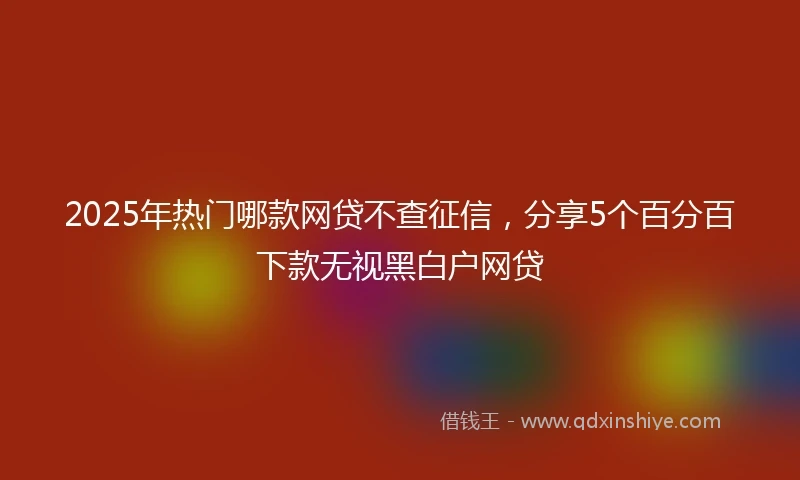2025年热门哪款网贷不查征信，分享5个百分百下款无视黑白户网贷