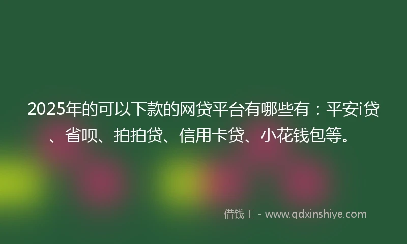 2025年的可以下款的网贷平台有哪些有：平安i贷、省呗、拍拍贷、信用卡贷、小花钱包等。