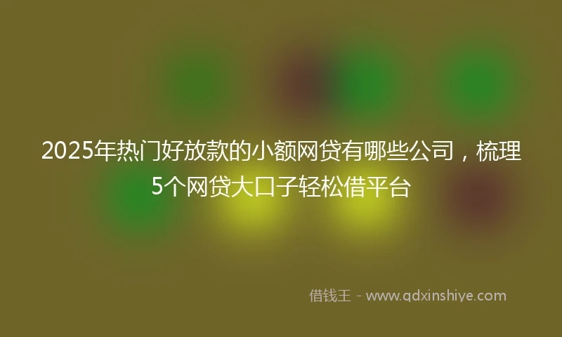 2025年热门好放款的小额网贷有哪些公司，梳理5个网贷大口子轻松借平台