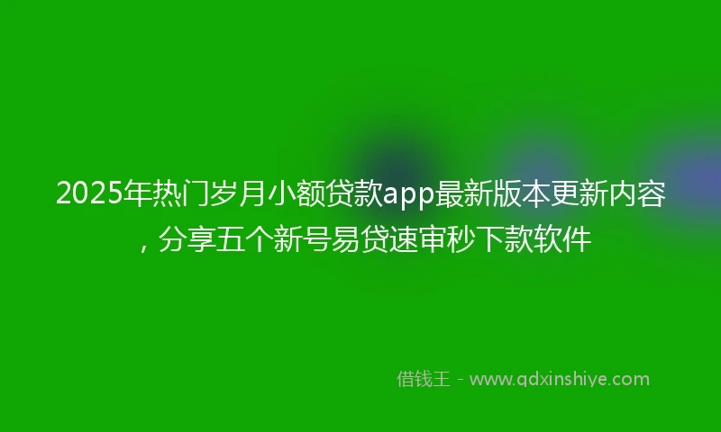2025年热门岁月小额贷款app最新版本更新内容，分享五个新号易贷速审秒下款软件