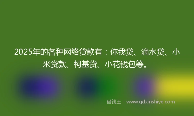 2025年的各种网络贷款有：你我贷、滴水贷、小米贷款、柯基贷、小花钱包等。