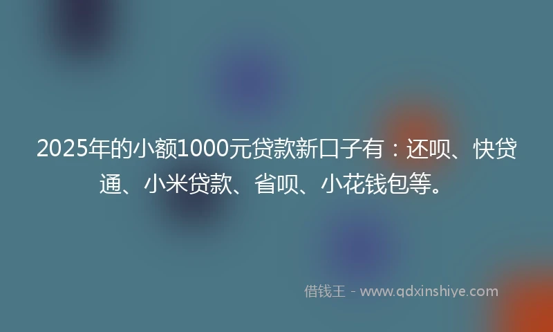 2025年的小额1000元贷款新口子有：还呗、快贷通、小米贷款、省呗、小花钱包等。