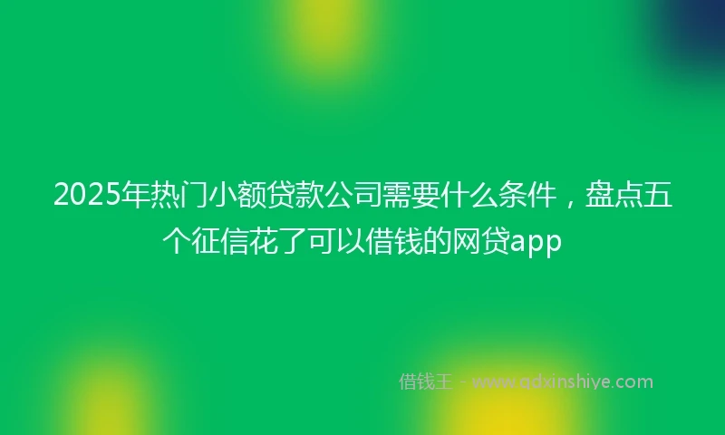 2025年热门小额贷款公司需要什么条件，盘点五个征信花了可以借钱的网贷app