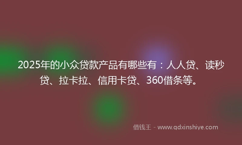 2025年的小众贷款产品有哪些有：人人贷、读秒贷、拉卡拉、信用卡贷、360借条等。