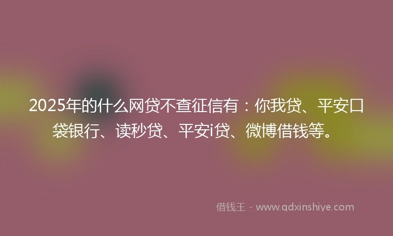2025年的什么网贷不查征信有：你我贷、平安口袋银行、读秒贷、平安i贷、微博借钱等。