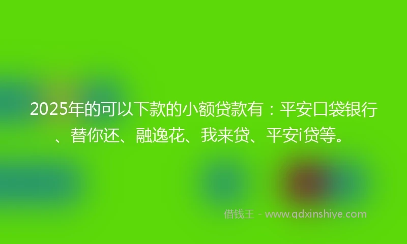 2025年的可以下款的小额贷款有：平安口袋银行、替你还、融逸花、我来贷、平安i贷等。