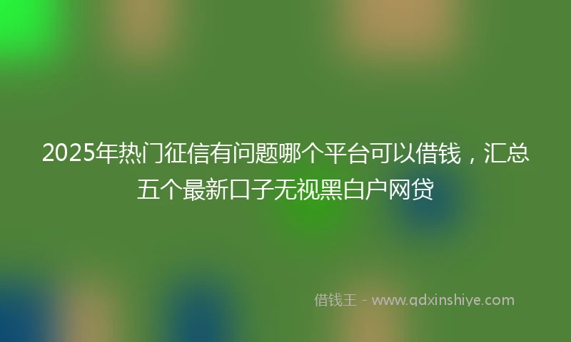 2025年热门征信有问题哪个平台可以借钱，汇总五个最新口子无视黑白户网贷