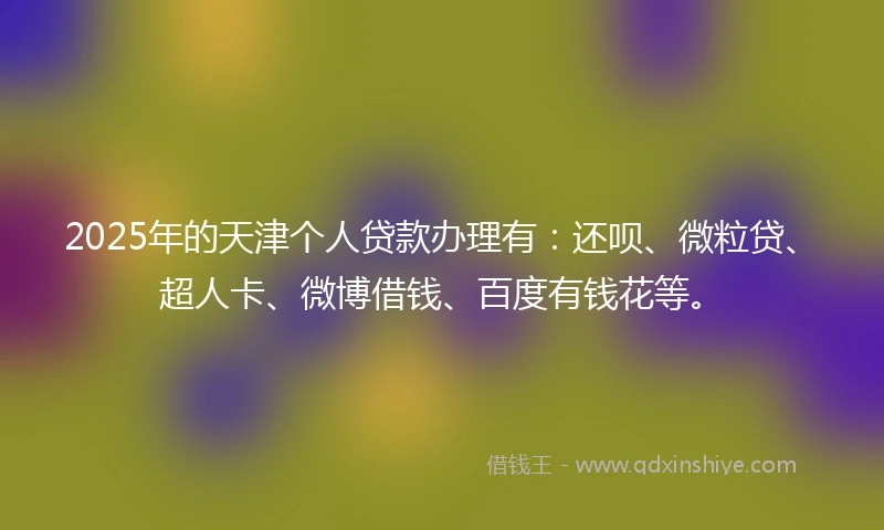2025年的天津个人贷款办理有：还呗、微粒贷、超人卡、微博借钱、百度有钱花等。