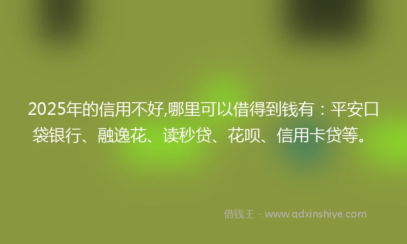 2025年的信用不好,哪里可以借得到钱有：平安口袋银行、融逸花、读秒贷、花呗、信用卡贷等。