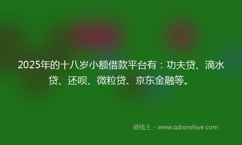 2025年的十八岁小额借款平台有：功夫贷、滴水贷、还呗、微粒贷、京东金融等。