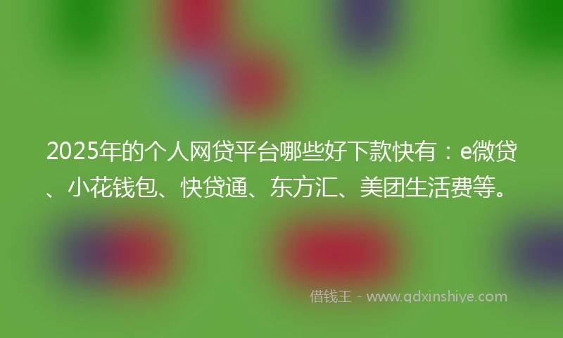 2025年的个人网贷平台哪些好下款快有：e微贷、小花钱包、快贷通、东方汇、美团生活费等。