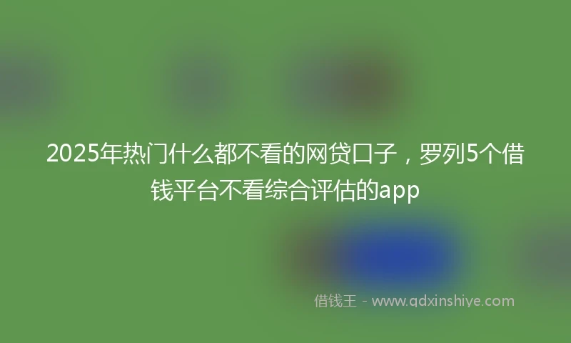 2025年热门什么都不看的网贷口子，罗列5个借钱平台不看综合评估的app