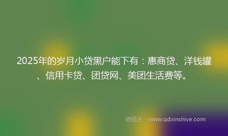 2025年的岁月小贷黑户能下有：惠商贷、洋钱罐、信用卡贷、团贷网、美团生活费等。