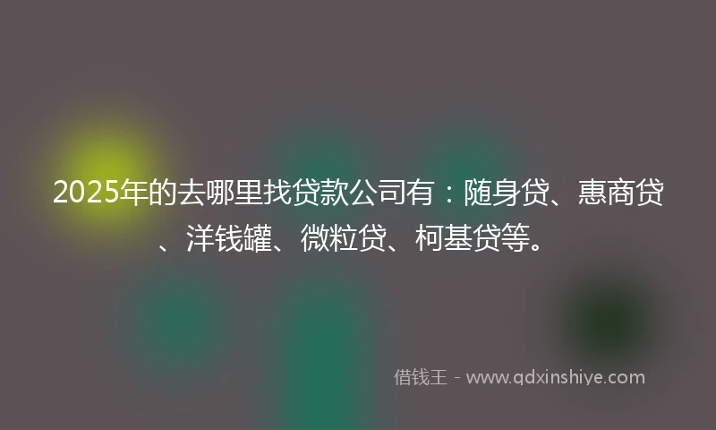 2025年的去哪里找贷款公司有：随身贷、惠商贷、洋钱罐、微粒贷、柯基贷等。